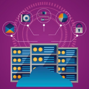 Networking Infrastructure, innovation business development